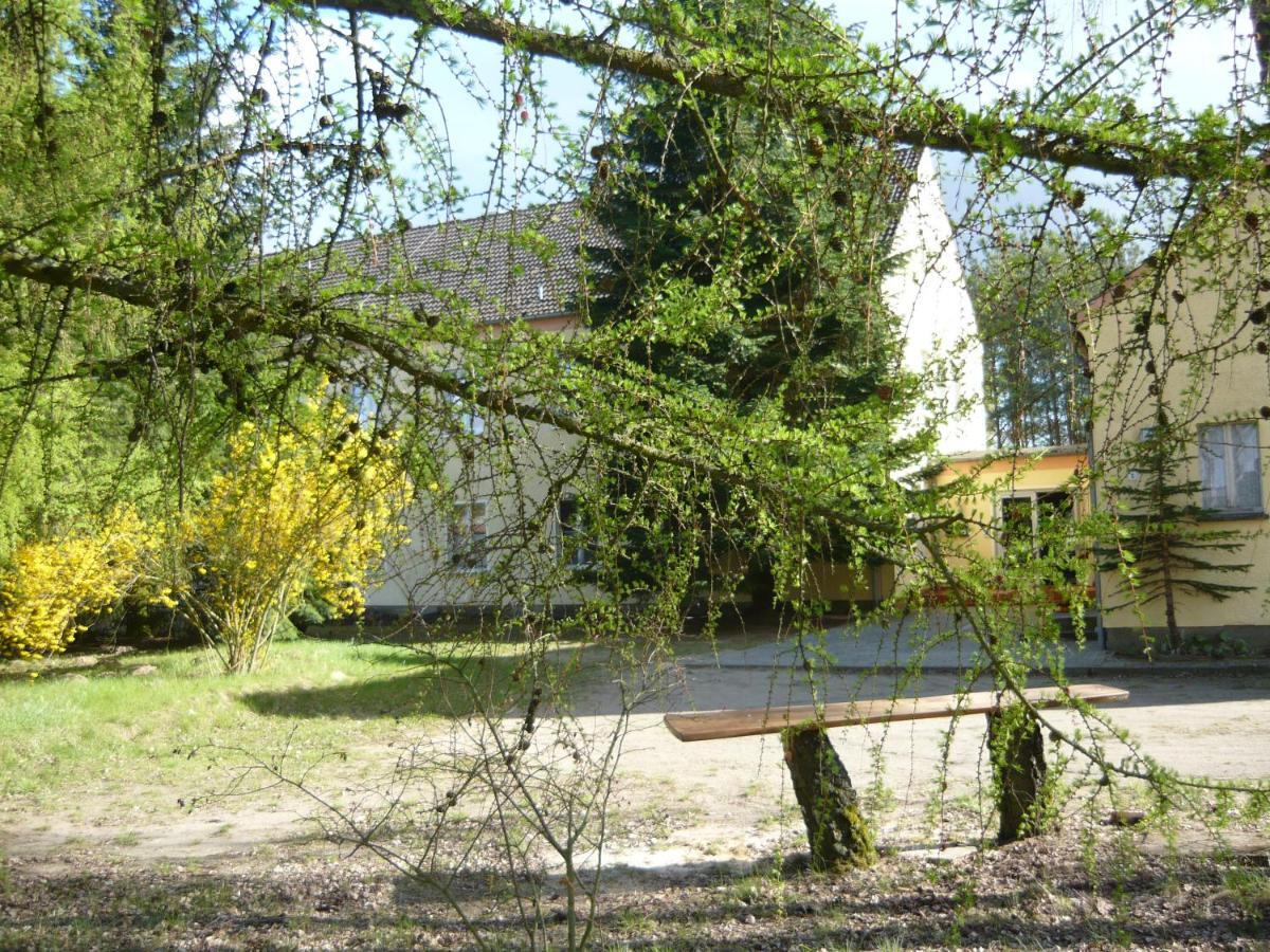 Grosse Wohnung Nossentiner Huette Exteriér fotografie